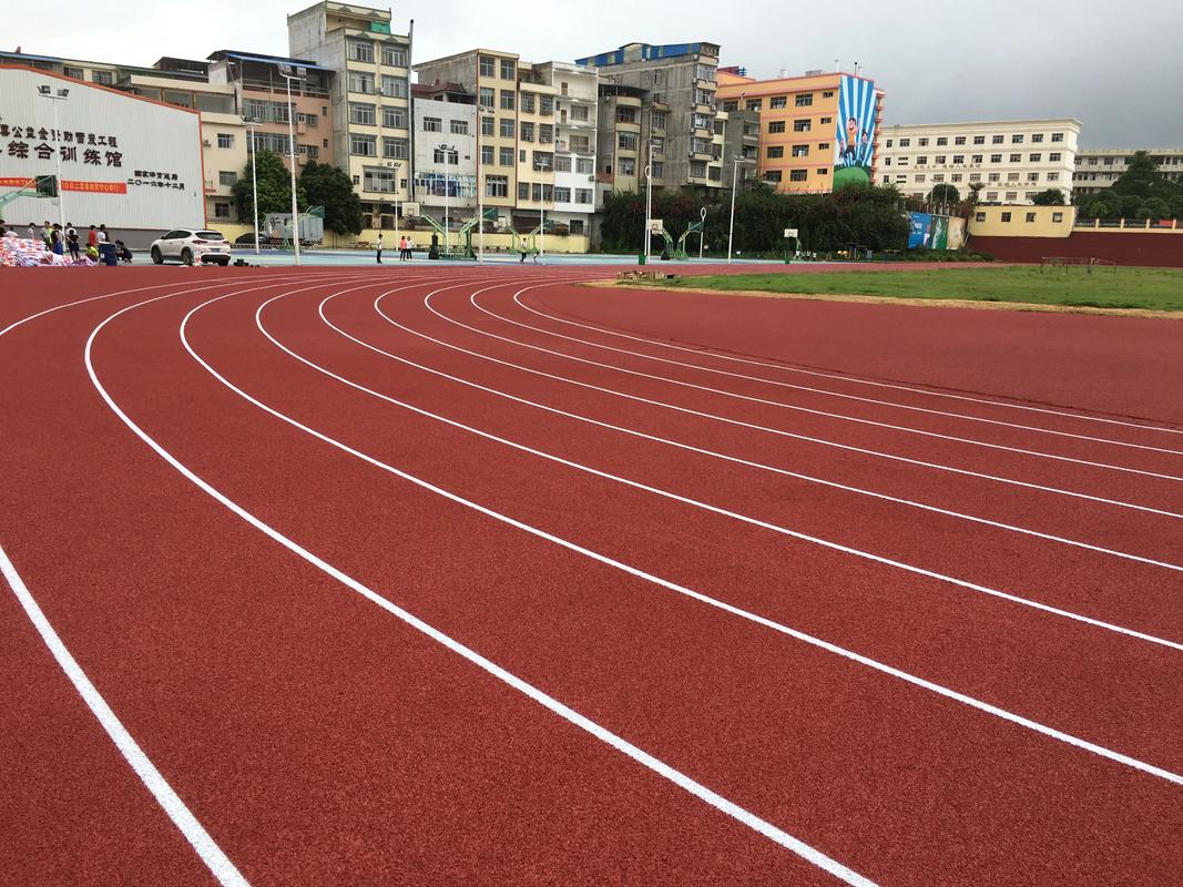 昭通市EPDM颗粒塑胶跑道材料 - 方案